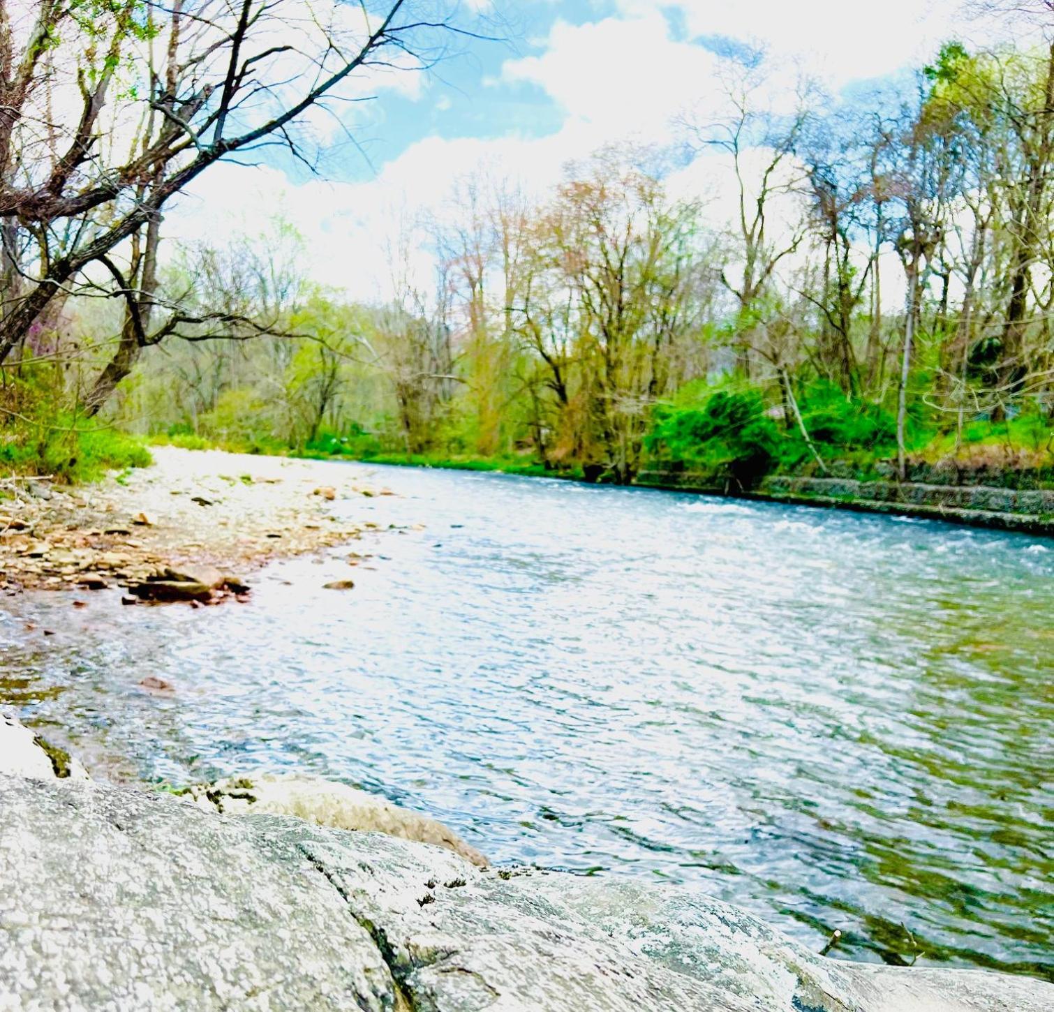 Newfound Lodge On The River Cherokee Eksteriør bilde